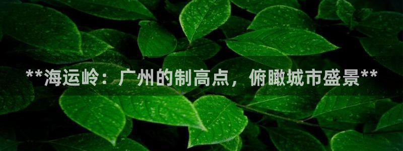 公海赌博为什么没人管