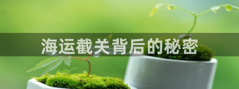 欢迎来到海边