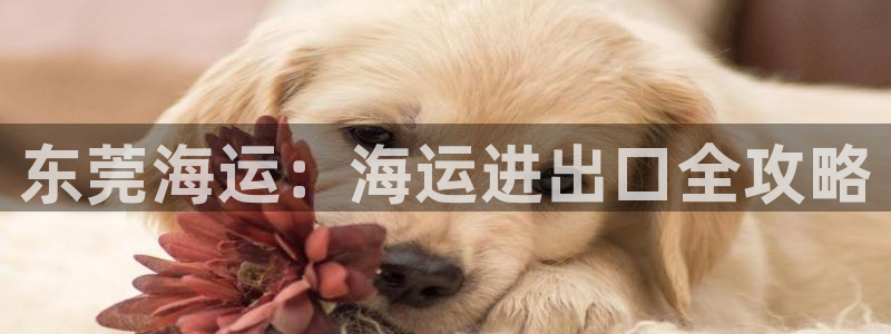 公海赌钱犯法吗