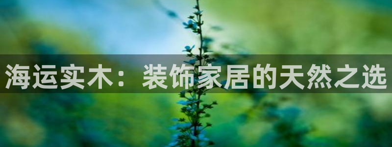 欢迎来到g港