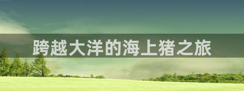 公海赌钱公安会抓吗