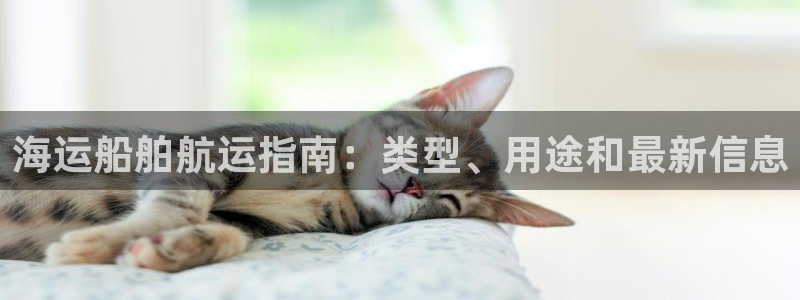 公海赌船官方