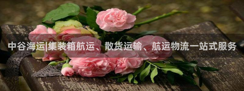 公海赌船官方