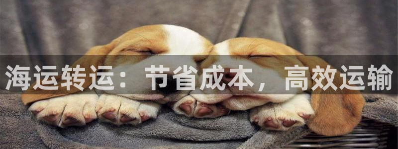 欢迎你来到 公主的海岛