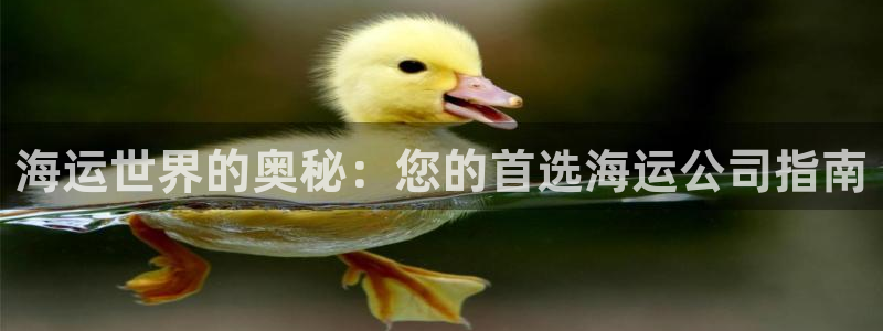 公海船赌网站是多少