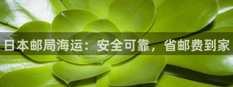 欢迎来公海欢迎来赌船欢迎