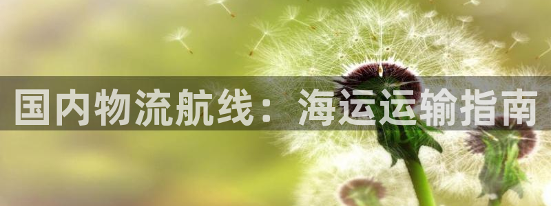 公海赌船官网下载