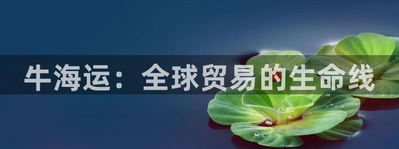 公海赌博是什么意思