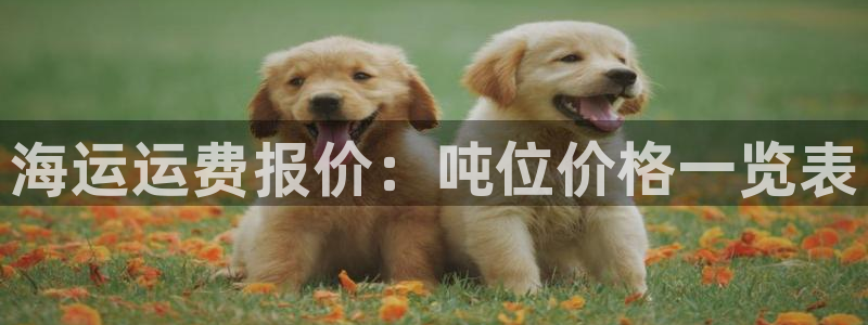 在公海赌博不违法吗