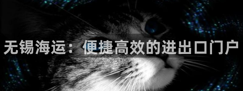 欢迎来到公海
