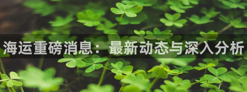 公海赌赌船官网710登录