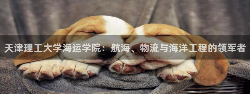 710公海赌赌船有总代理吗