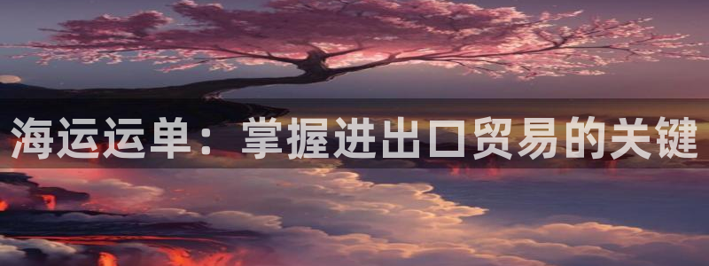 欢迎来到公海电脑版
