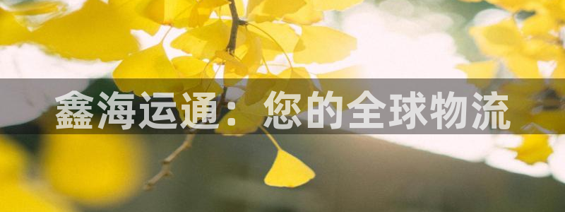 公海欢迎来到赌船