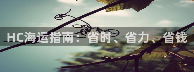欢迎你来到公海赌