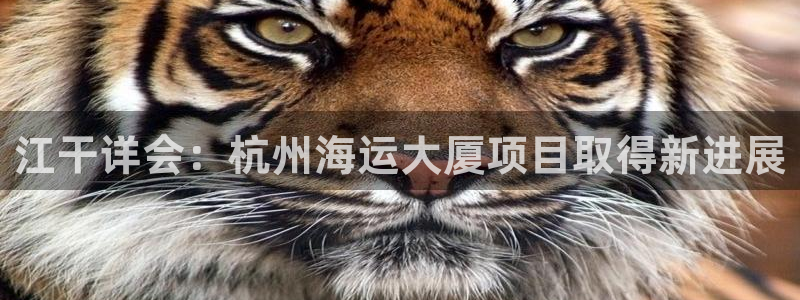 710公海赌赌船有总代理吗