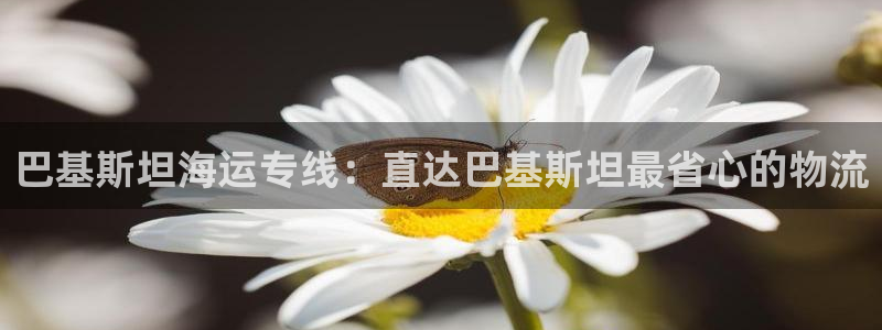 欢迎来到赌船公海710