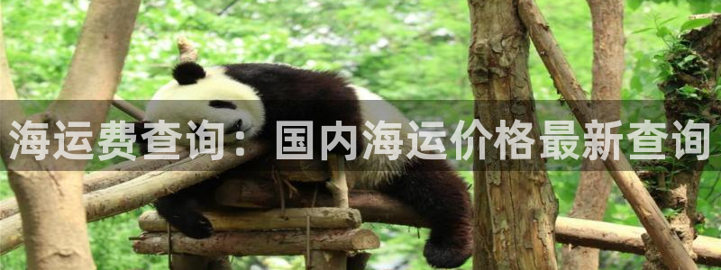 公海赌赌船维护多久