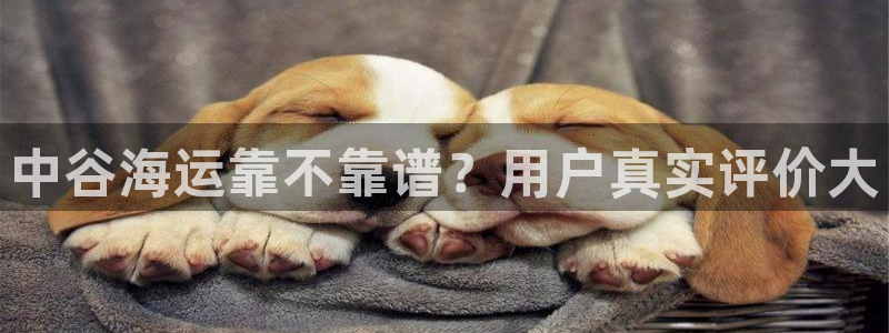 公海赌钱违法吗