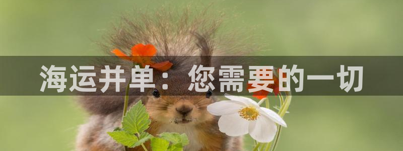 欢迎来到海牛星简谱