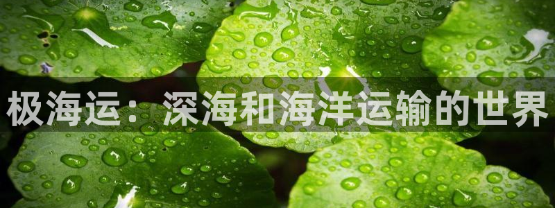 公海赌赌船