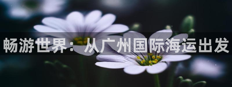 公海赌船网页