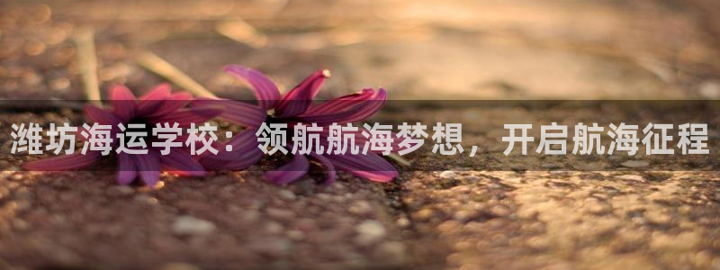 公海赌赌船官网jc710 下载