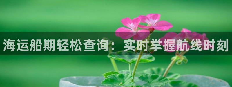 公海赌赌船官网jc710 下载