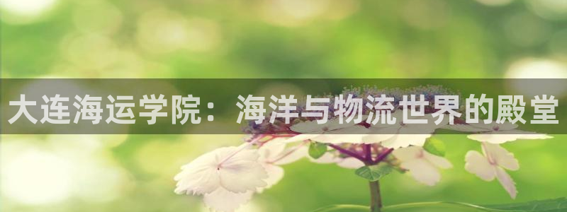 去公海赌博