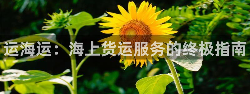 公海赌船吧