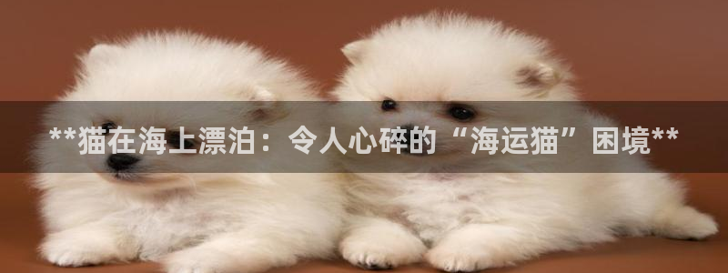 公海赌赌船系统维护要多久