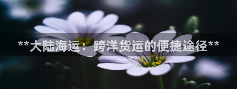 欢迎来到海边