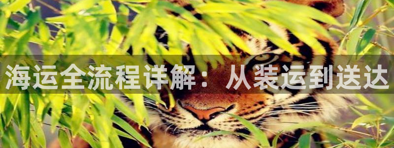 公海欢迎来到赌船