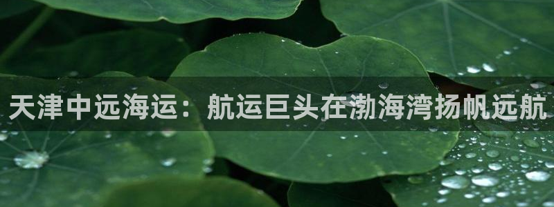 在公海赌博不违法吗