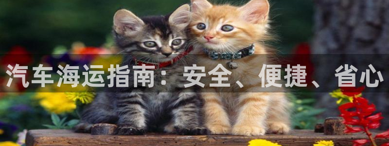 欢迎你来到公海欢迎你来到赌船701