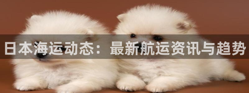 欢迎来到公海欢迎来到赌船!!