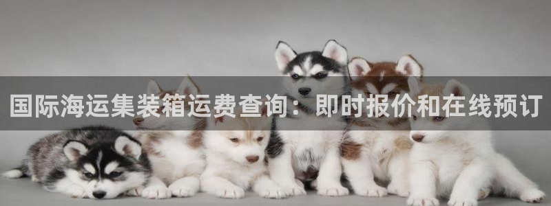 公海赌赌船jcjc710