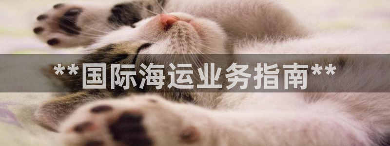 公海赌船官网下载